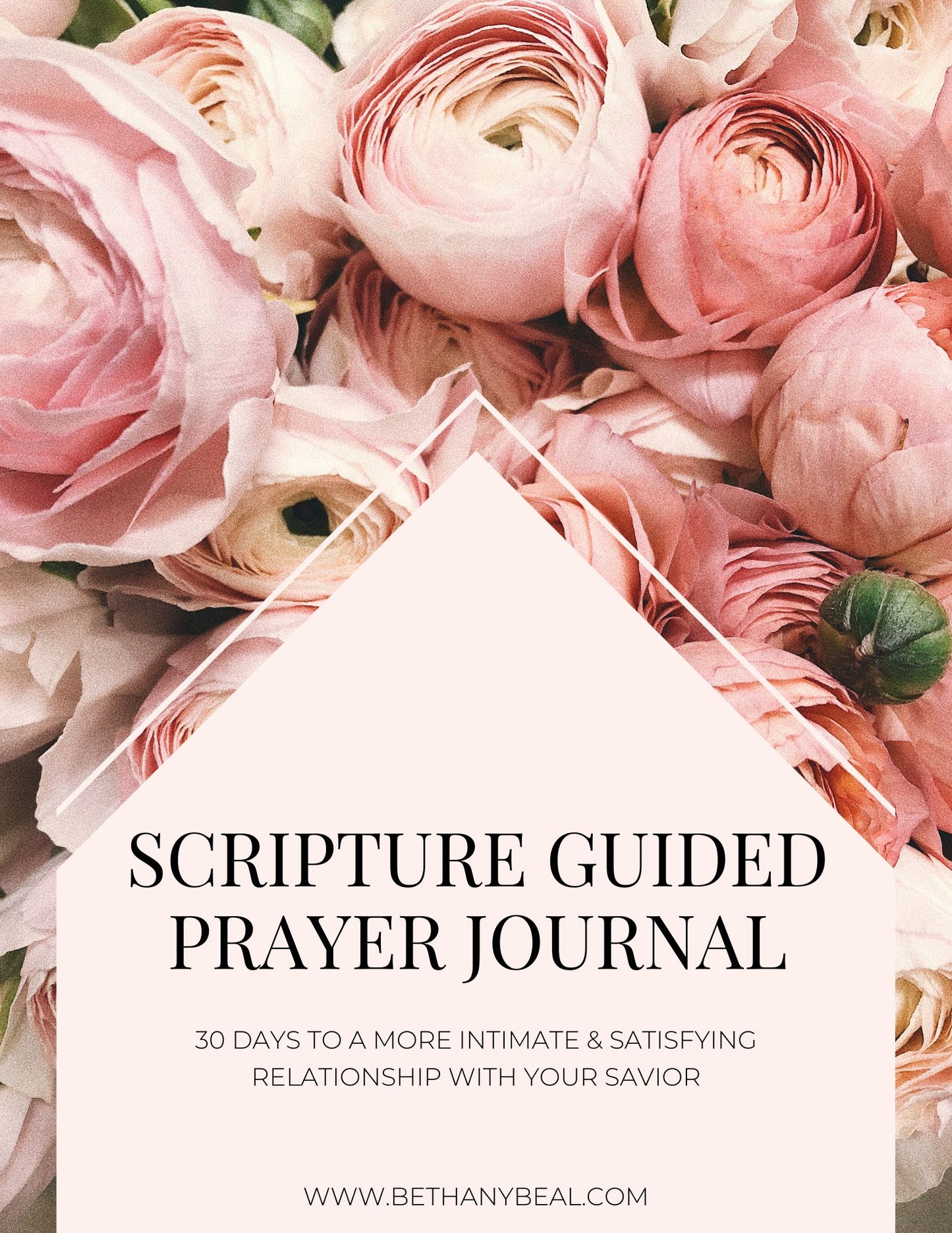 Scripture Guided Prayer Journal (PDF Download)